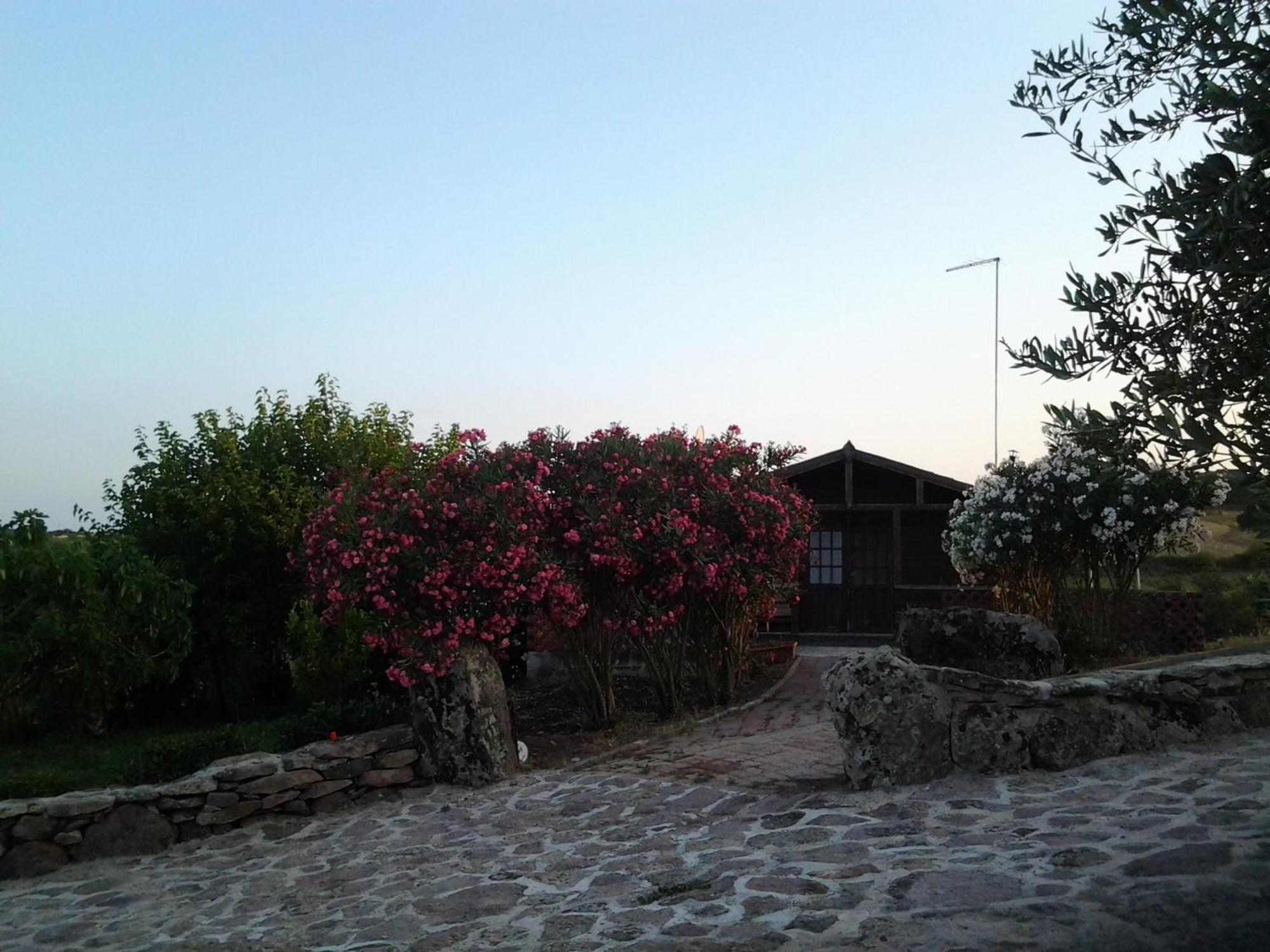 Agriturismo Su Recreu Ittiri Værelse billede