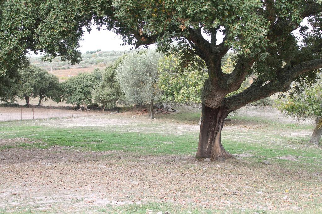 Agriturismo Su Recreu Ittiri Eksteriør billede