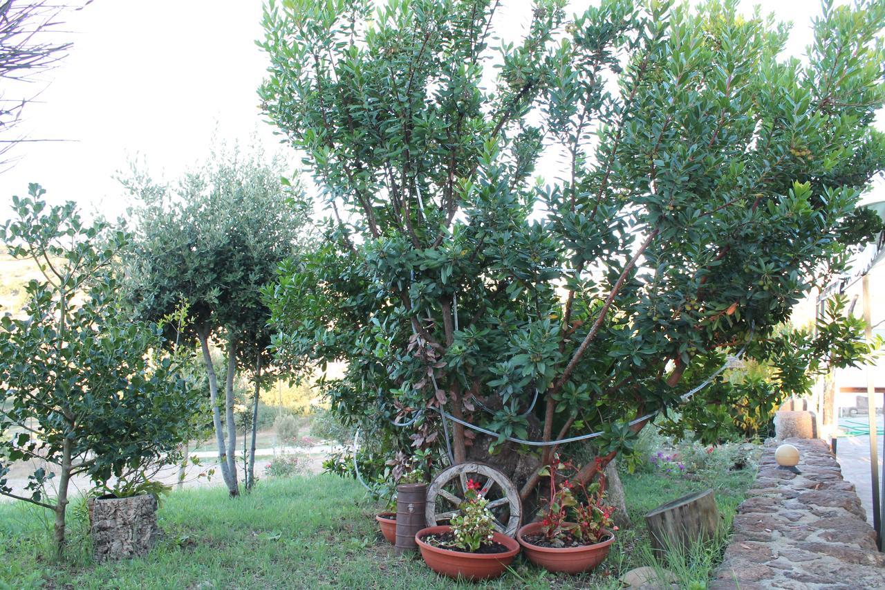 Agriturismo Su Recreu Ittiri Eksteriør billede