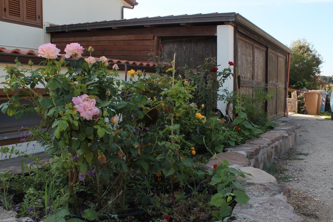 Agriturismo Su Recreu Ittiri Eksteriør billede